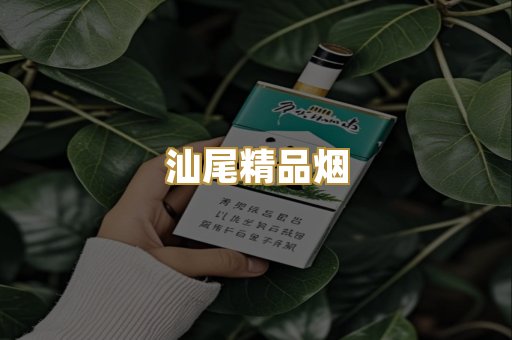 汕尾精品烟